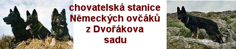 http://www.zdvorakovasadu.wbs.cz/bannerzdvorakovasadu.jpg